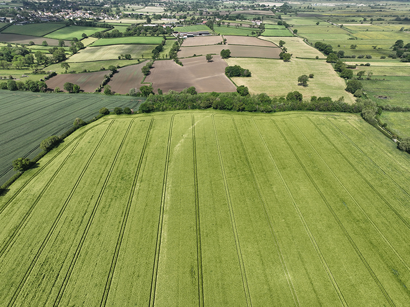Aerial view of a landscape with hedges and trees