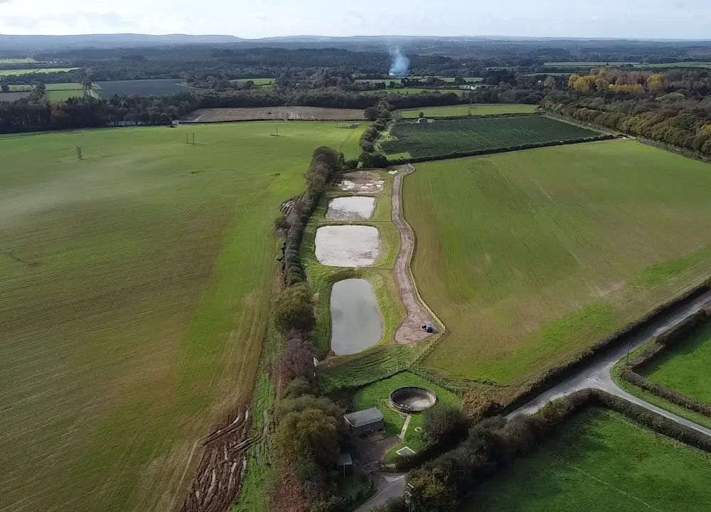 Lytchett Matravers wetland